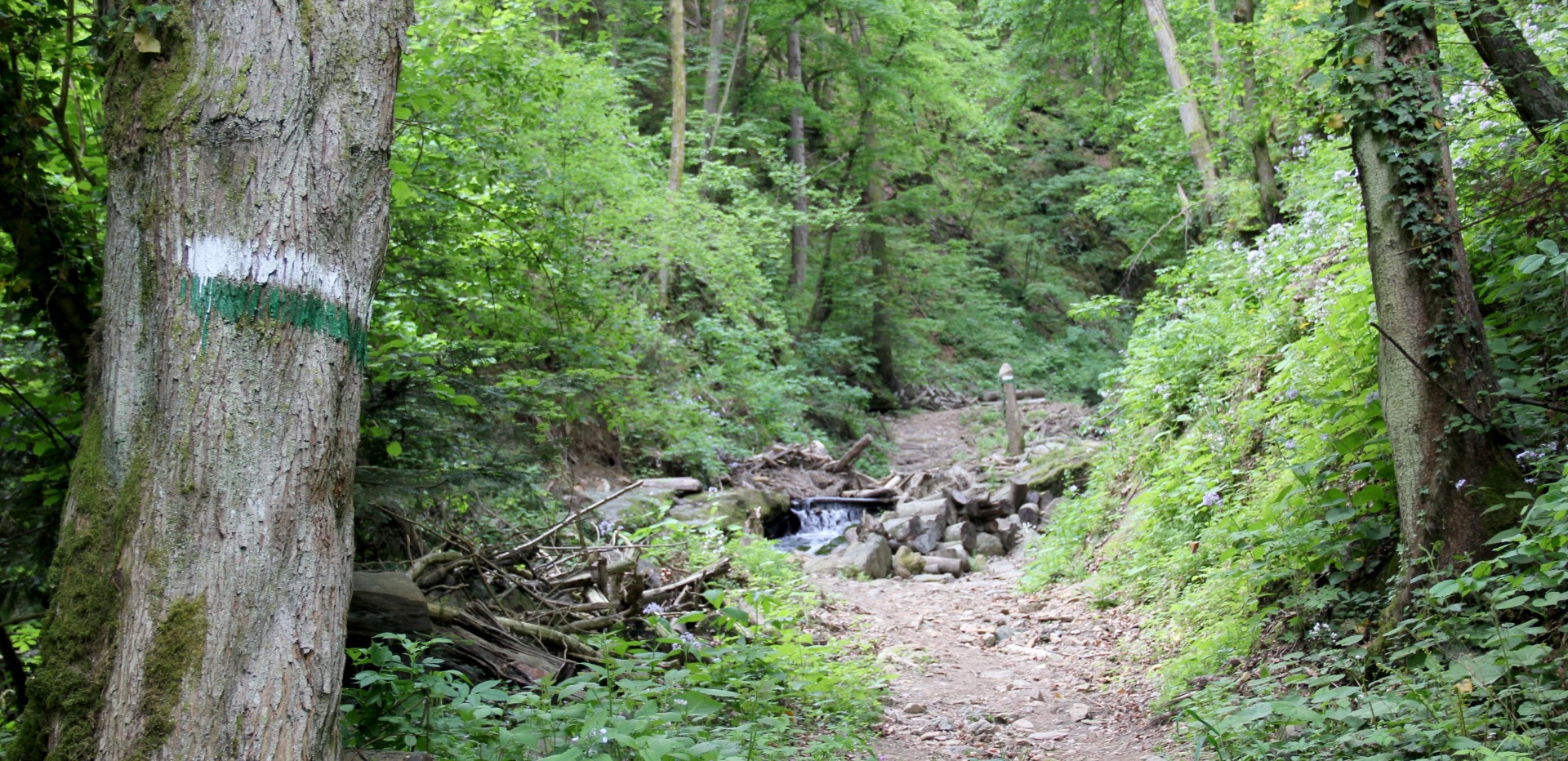 Heiligengeistklamm (Foto: Ulrike Elsneg)