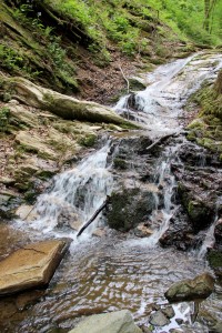 Heiligengeistklamm (Foto: Ulrike Elsneg)