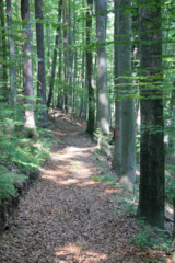 Wandern in Arnfels - Remschnigg (Foto: Ulrike Elsneg)