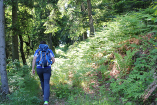 Wandern in Arnfels - Remschnigg (Foto: Ulrike Elsneg)