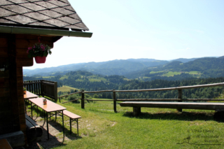 Wandern in Arnfels - Remschnigg (Foto: Ulrike Elsneg)