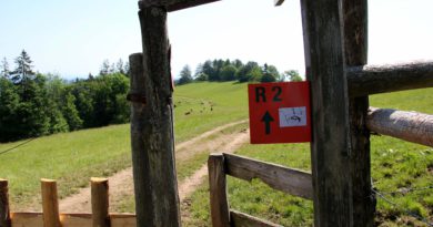 Wandern in Arnfels - Remschnigg (Foto: Ulrike Elsneg)