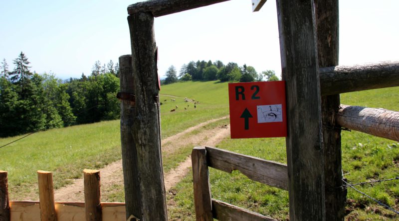 Wandern in Arnfels - Remschnigg (Foto: Ulrike Elsneg)