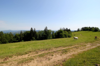 Wandern in Arnfels - Remschnigg (Foto: Ulrike Elsneg)