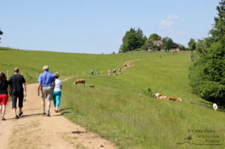 Wandern in Arnfels - Remschnigg (Foto: Ulrike Elsneg)