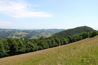 Wandern in Arnfels - Remschnigg (Foto: Ulrike Elsneg)