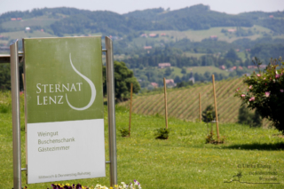 Wandern in Arnfels - Remschnigg (Foto: Ulrike Elsneg)