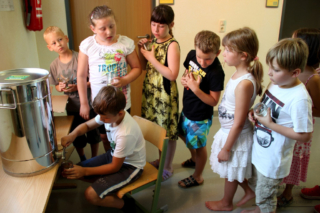 Projekt Bienen VS/Kindergarten Langegg (Foto: Ulrike Elsneg)