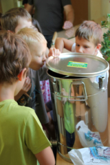 Projekt Bienen VS/Kindergarten Langegg (Foto: Ulrike Elsneg)