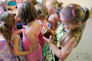 Projekt Bienen VS/Kindergarten Langegg (Foto: Ulrike Elsneg)