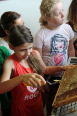 Projekt Bienen VS/Kindergarten Langegg (Foto: Ulrike Elsneg)