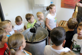 Projekt Bienen VS/Kindergarten Langegg (Foto: Ulrike Elsneg)