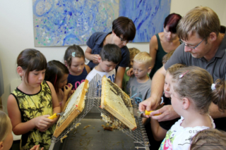 Projekt Bienen VS/Kindergarten Langegg (Foto: Ulrike Elsneg)