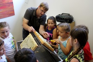 Projekt Bienen VS/Kindergarten Langegg (Foto: Ulrike Elsneg)