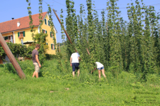 Mini-Golftour in Leutschach an der Weinstraße (Foto: Ulrike Elsneg)