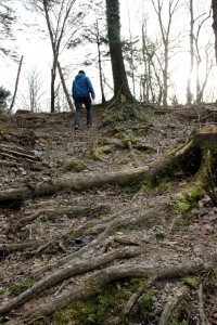 Geowanderung Oberhaag (c) Ulrike Elsneg TV Die Südsteirische Weinstraße