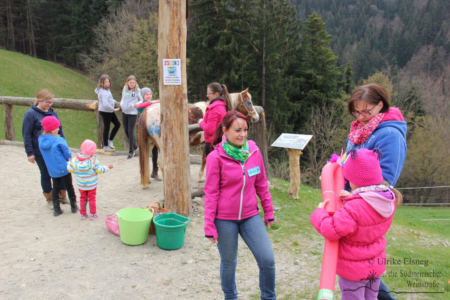 Reitkinder Schnuppertag - Green Hill Ranch (Foto Ulrike Elsneg)