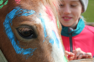Reitkinder Schnuppertag - Green Hill Ranch (Foto Ulrike Elsneg)