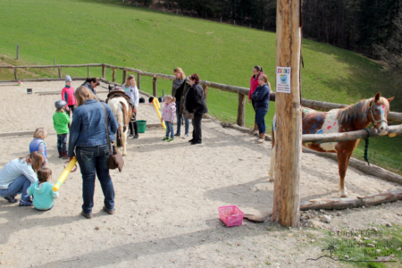 Reitkinder Schnuppertag - Green Hill Ranch (Foto Ulrike Elsneg)