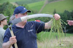 Sensenmähkurs mit Jürgen Rausch-Schott (c) Ulrike Elsneg