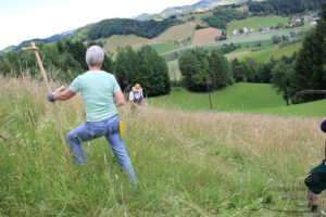 Sensenmähkurs mit Jürgen Rausch-Schott (c) Ulrike Elsneg