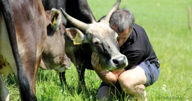 Zeubuhof Muster (c) Ulrike Elsneg TV Die Südsteirische Weinstraße