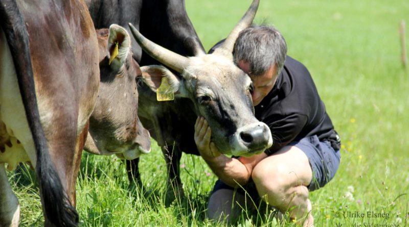 Zeubuhof Muster (c) Ulrike Elsneg TV Die Südsteirische Weinstraße