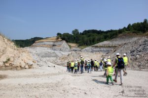 Erlebnis Erdgeschichte - Fossiliensuche in Retznei (c) Ulrike Elsneg TV Die Südsteirische Weinstraße