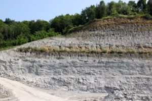 Erlebnis Erdgeschichte - Fossiliensuche in Retznei (c) Ulrike Elsneg TV Die Südsteirische Weinstraße