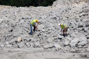 Erlebnis Erdgeschichte - Fossiliensuche in Retznei (c) Ulrike Elsneg TV Die Südsteirische Weinstraße