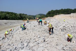 Erlebnis Erdgeschichte - Fossiliensuche in Retznei (c) Ulrike Elsneg TV Die Südsteirische Weinstraße