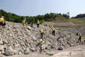 Erlebnis Erdgeschichte - Fossiliensuche in Retznei (c) Ulrike Elsneg TV Die Südsteirische Weinstraße