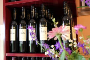 Weingut Winzerzimmer TOSO (c) Ulrike Elsneg TV Die Südsteirische Weinstraße
