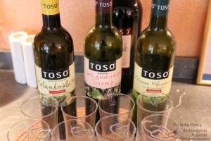 Weingut Winzerzimmer TOSO (c) Ulrike Elsneg TV Die Südsteirische Weinstraße