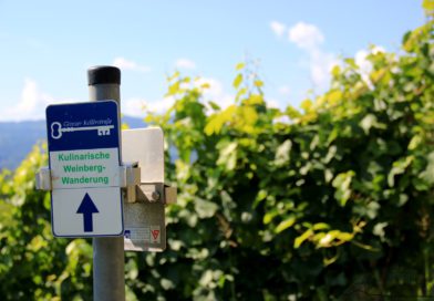 Kulinarische Weinberg Wanderung (c) Ulrike Elsneg TV Die Südsteirsiche Weinstraße (1)