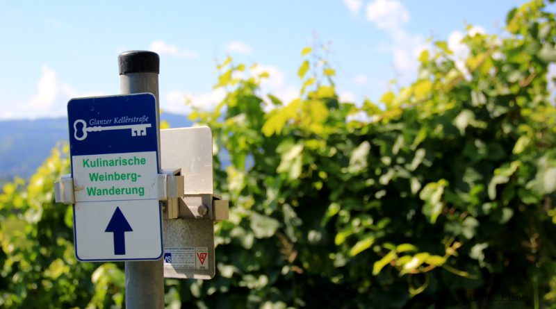 Kulinarische Weinberg Wanderung (c) Ulrike Elsneg TV Die Südsteirsiche Weinstraße (1)