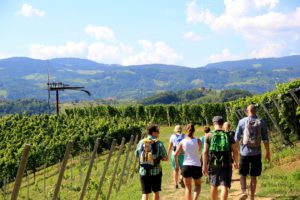 Kulinarische Weinberg Wanderung (c) Ulrike Elsneg TV Die Südsteirsiche Weinstraße (2)