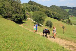 Eselwandern (c) Ulrike Elsneg TV Die Südsteirische Weinstraße (2)