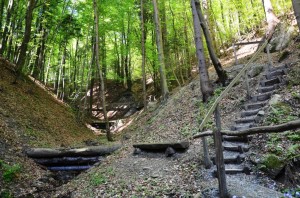 Die Altenbachklamm in Oberhaag