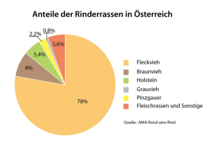 Anteile der Rinderrassen in Österreich