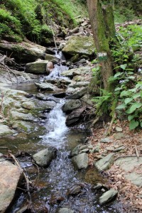 Heilgengeistklamm (Foto: Ulrike Elsneg)