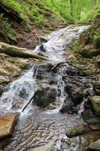 Heilgengeistklamm (Foto: Ulrike Elsneg)