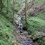 Heilgengeistklamm (Foto: Ulrike Elsneg)