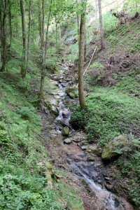 Heilgengeistklamm (Foto: Ulrike Elsneg)