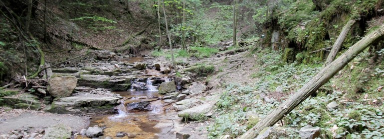 Heiligengeistklamm (Foto: Ulrike Elsneg)