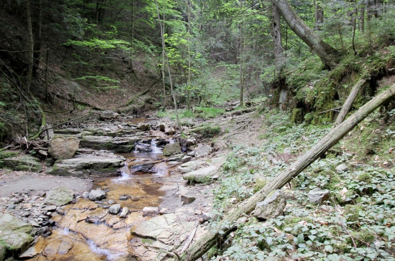 Heiligengeistklamm (Foto: Ulrike Elsneg)