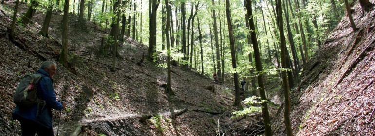 Altenbachklamm (Foto: Ulrike Elsneg)