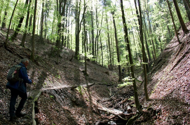 Altenbachklamm Oberhaag